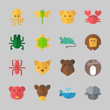 Icons about Animals with lion, bear, fox, beetle, octobus and mouse