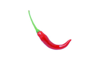 Red chili pepper vegetable with include Clipping path