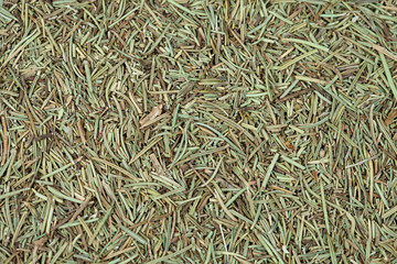 dry rosemary herb on texture background.