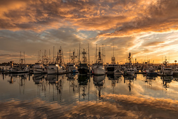 San Diego Fishing Fleet