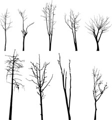 Dead Tree without Leaves Vector