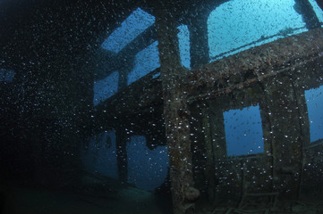 Sunken Shipwreck in Okinawa, Japan