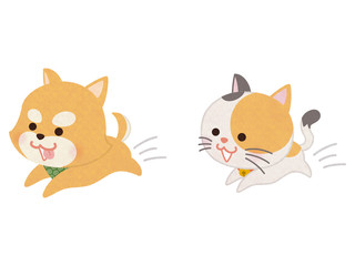 走り回るペットの犬と猫