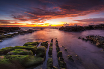 wide angle view of sunset seascape with rocks covered by green moss.