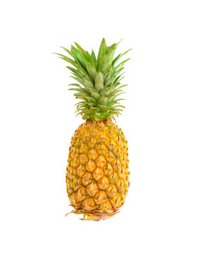 Pine apple isolated on white background. This has clipping path.