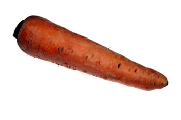carrot isolated on white background