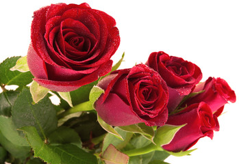 Naklejka premium roses