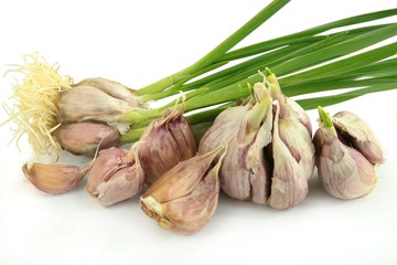garlic with green sprouts