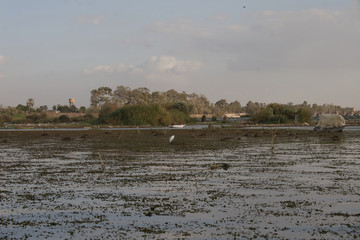 The surface of The Nile