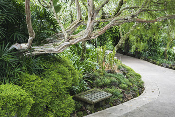 Obraz premium mała ławka w ogrodzie