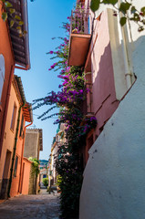 Collioure, côte vermeille, France.