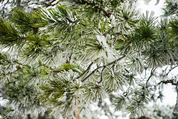 Winter outside of the city