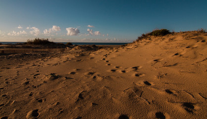 Piscinas Arbus