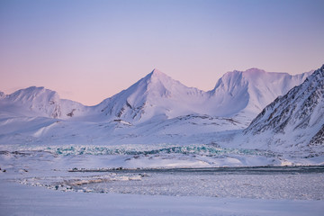 Arktyczne pustkowie