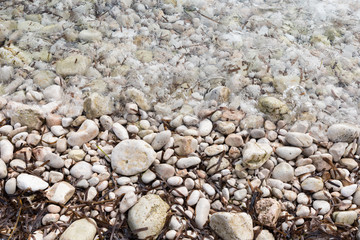 shore with stones