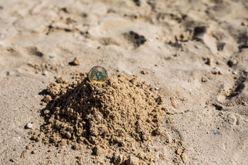 Bitcoin. Bitcoin on golden sand, in background sea. Concept freelance, stock exchange.