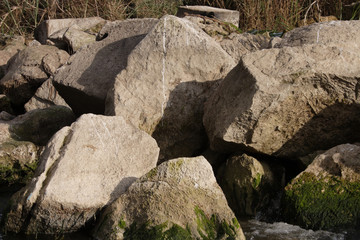 Rocks and trees on the nile river
