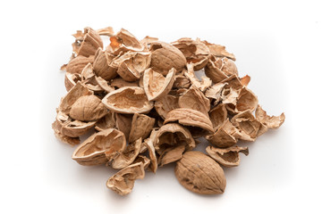 Pile of shells nutshells