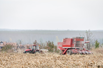 Fototapeta premium Harvester machine to harvest wheat field working
