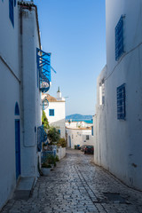 The village of Sidi Bou Saïd in Tunisia