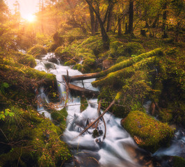 Colorful green forest with little waterfall at mountain river at sunset in autumn. Landscape with...