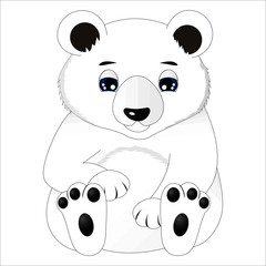 Cute baby polar bear