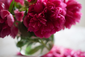 red peonies in glass vase stand on table