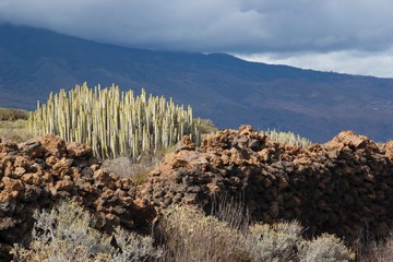 Teneriffa Spain