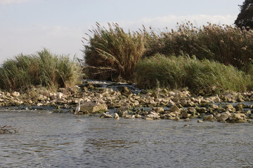 The Nile river from a boat