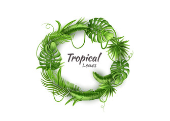 Vector realistic tropical leaves exotic vacation