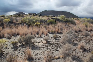Teneriffa Spain