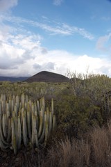 Teneriffa Spain