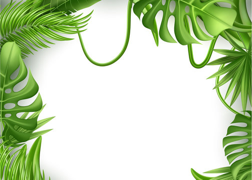 Vector realistic tropical leaves exotic vacation
