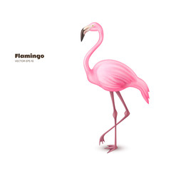 Vector realistic 3d pink flamingo - obrazy, fototapety, plakaty