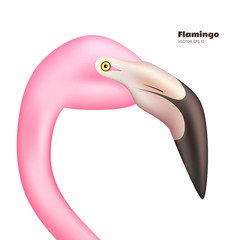 Obraz premium Vector realistic 3d pink flamingo head