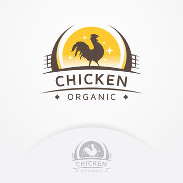 Chicken organic logo. Rooster badge, emblem or logo design. Chicken meat and eggs. Farms logo template