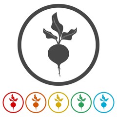 Sugar beet icon, 6 Colors Included