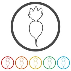 Sugar beet icon, 6 Colors Included