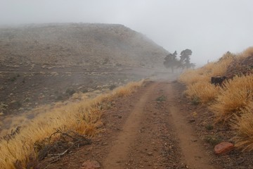 Teneriffa Spain