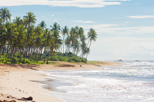 Sri Lanka, Rathgama - Beautiful natural beach landscape of Rajgama aka Rathgama