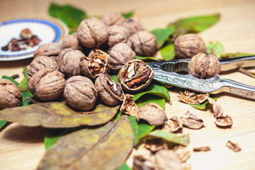 Fototapeta na wymiar pile of walnuts lying on leaves. Near Nutcracker and saucer