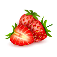 Vector realistic detailed strawberry with slice