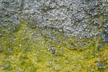 Old plaster texture with moss, stone wall background for web site or mobile devices