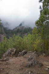 Teneriffa Spain
