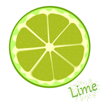 Fresh slices of lime isolated on white background. Vector