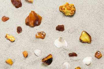 pieces of amber and shells on a sandy beach.