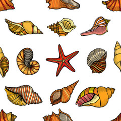 seamless pattern shells