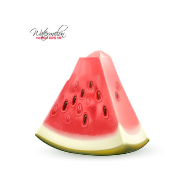 Vector realistic watermelon fruit 3d slice