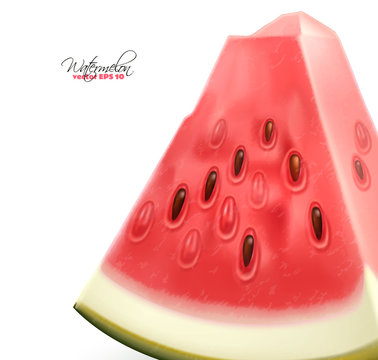 Vector realistic watermelon fruit 3d slice