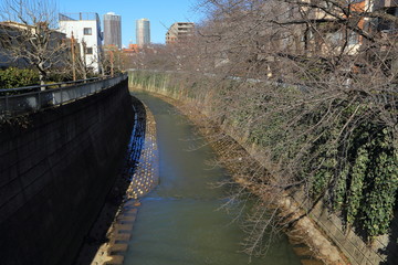 北新宿を流れる神田川